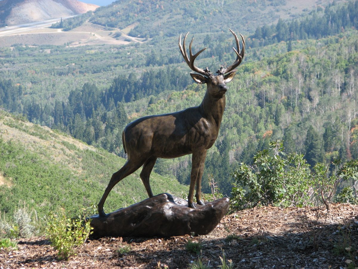 Life Size Deer Luna Bronze